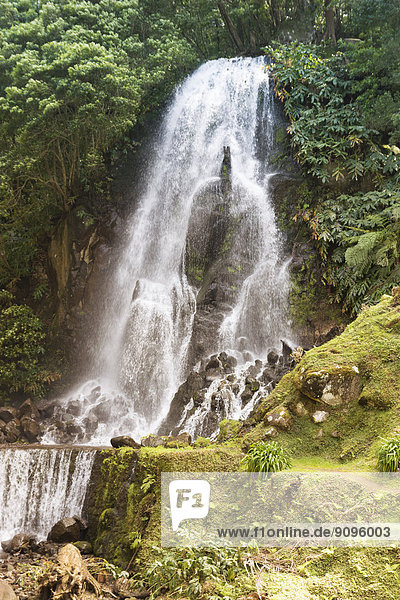 Portugal  Azoren  Sao Miguel  Wasserfall im Parque Natural da Ribeira dos Caleiroes