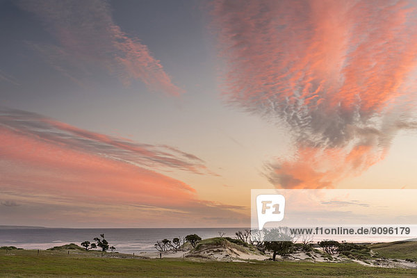 Neuseeland  Chatham Island  Sonnenuntergang über Ohira Bay