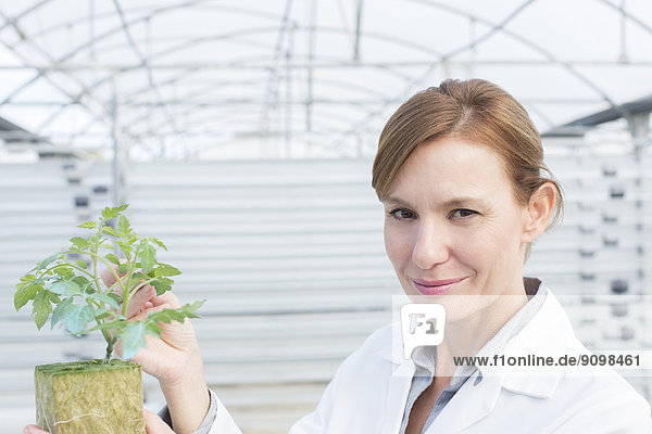 Porträt eines selbstbewussten Wissenschaftlers mit Pflanze im Gewächshaus