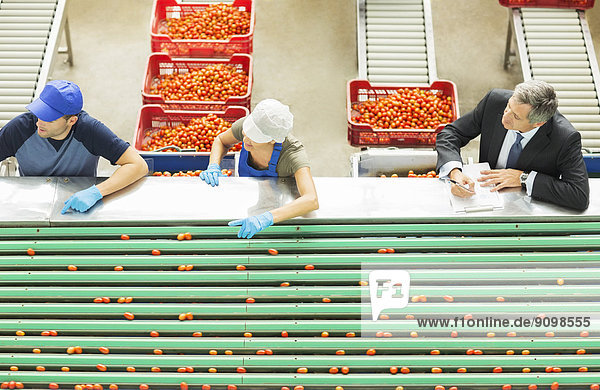 Arbeiter  die Tomaten in einem Lebensmittelverarbeitungsbetrieb verarbeiten