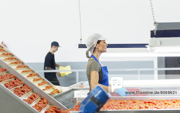 Arbeiter mit Tomatenkiste in einem Lebensmittelverarbeitungsbetrieb