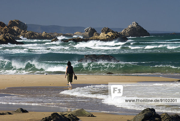 Tourist on a beach at the Indian Ocean  waves on the coast of Tsitsikamma National Park  Garden Route National Park  Cacadu District  Eastern Cape Province  South Africa
