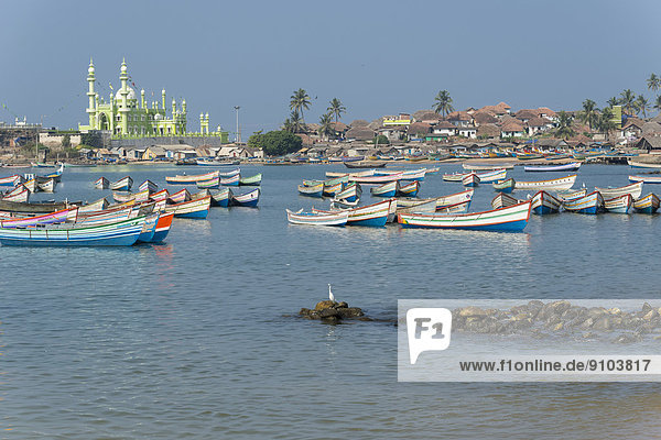 Bunte Fischerboote im Hafen,  Mohijedin Sher Darga Sherif Moschee hinten,  Vizhinjam,  Kerala,  Indien