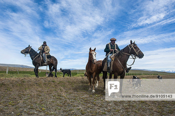 Gauchos riding in the Torres del Paine National Park  Patagonia  Chile