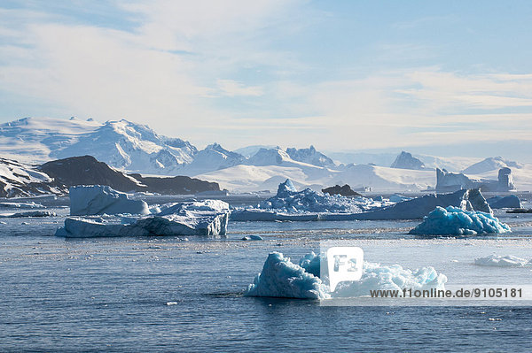 Gletscher und Eisberge  Cierva Cove  Chavdar Peninsula  Antarktis