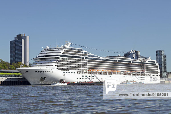 Cruise ship MSC Magnifica  Port of Hamburg  Hamburg  Germany