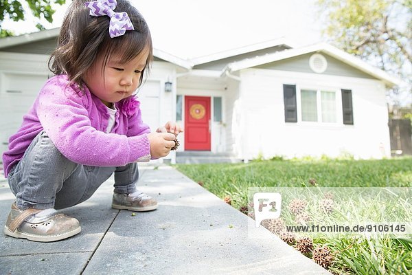 Female toddler playing with pine cone on garden path