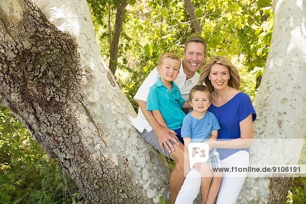 Vierköpfige Familie auf einem Baumzweig