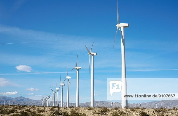 Windkraftanlagen  Windpark San Gorgonio Pass  Palm Springs  Kalifornien  USA