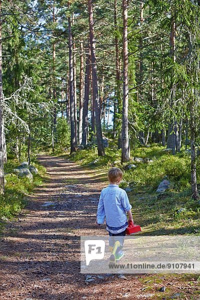 Kleiner Junge  der den Waldweg entlang wandert