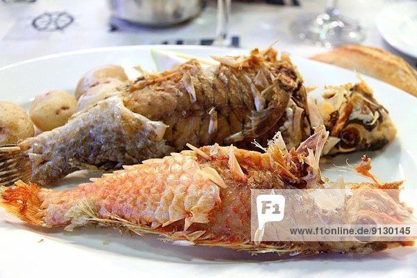 Canarian fishes on plate Spain.