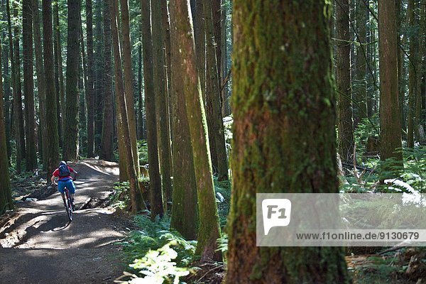 A male mountain biker riding the full nelson trail in Squamish  BC