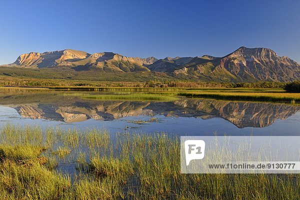 Bett  Spiegelung  Teich  Waterton Lakes Nationalpark  Alberta  Kanada  Schilf  Reflections