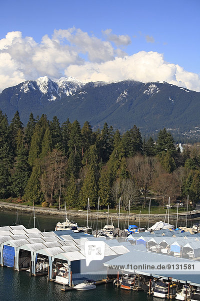View of marina in Coal Harbour  Stanley Park  and North Shore mountains  Vancouver  British Columbia