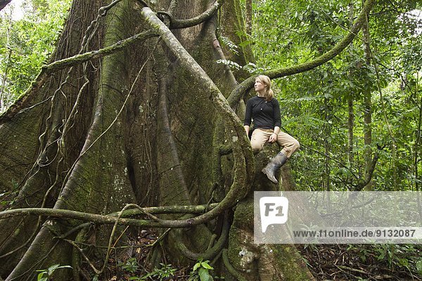 Amazon Rainforest  Ecuador