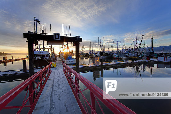über  Sonnenaufgang  Jachthafen  angeln  Comox Valley  schnell reagieren  British Columbia  Kanada  Vancouver Island