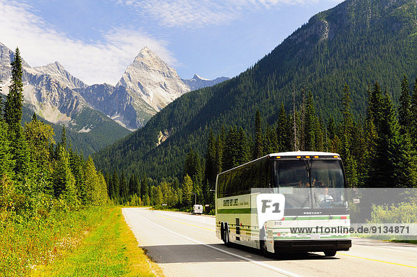 Nationalpark Reise Bundesstraße Omnibus vorwärts Kanada