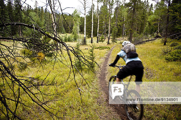 A female mountain biker riding singletrack in Canmore  AB