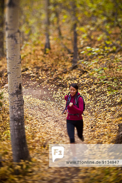 A young  fit woman trail running the Highline trail in Canmore  AB