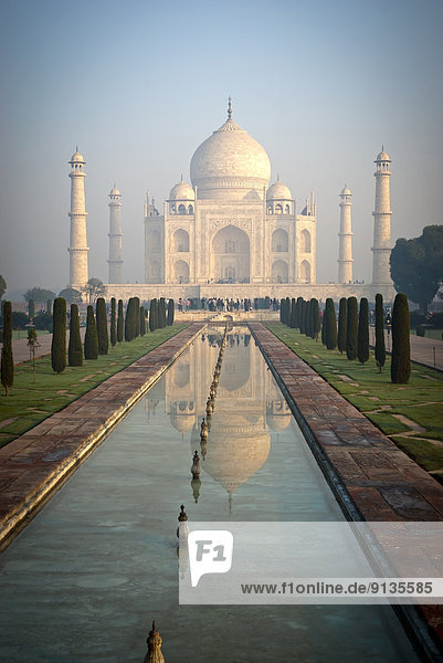 The Taj Mahal shines at sunrise  Agra India