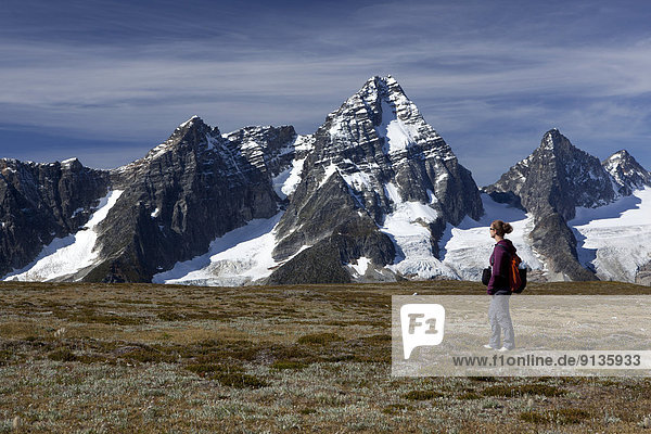 Hiker in the meadows below Bald Mountain opposite Mount Sir Donald  Glacier National Park  British Columbia  Canada