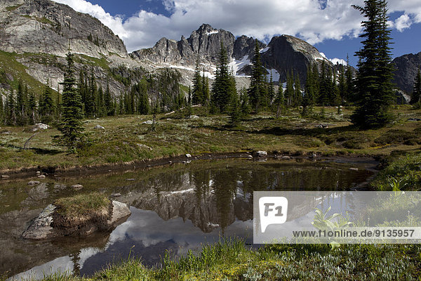 Drinnon Peak reflected in a tarn at Drinnon Pass  Selkirk Mountains  Valhalla Provincial Park  British Columbia  Canada