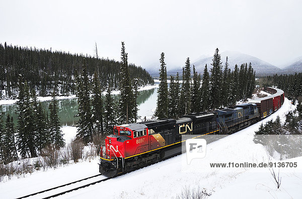 A Canadian National freight train pulling a load of containers along the Athabasca river near the hamlet of Brule on a snowy winters day in the rockey mountains of Alberta Canada.