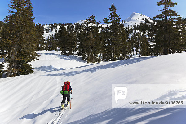 A skier ascends the trail to Edwards Lake cabin enroute to Mt. Steele cabin in Tetrahedron Provincial Park on the Sunshine Coast of British Columbia Canada. No Model Release