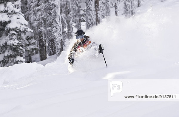 Young woman skiing deep powder at Fernie Alpine Resort  Fernie  BC  Canada.