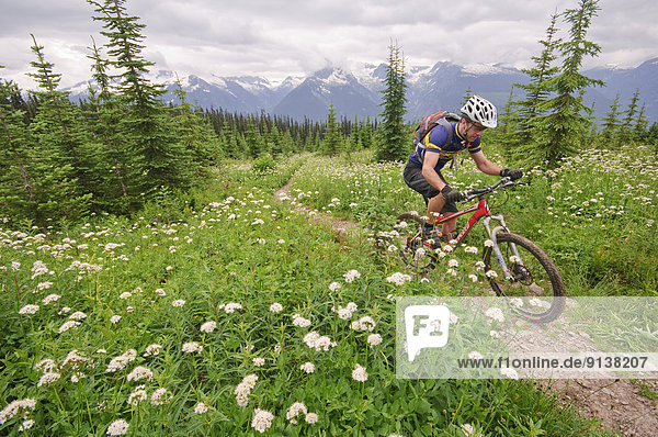 Mountain biking in Keystone-Standard Basin. Revelstoke. Kootenay Rockies region  British Columbia  Canada