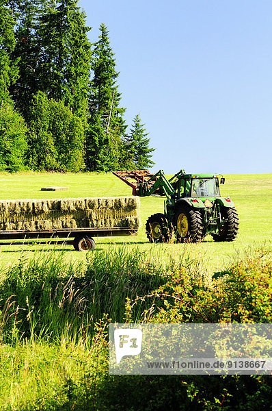 Kopfsteinpflaster  Hügel  Traktor  beladen  Heu  Bündel