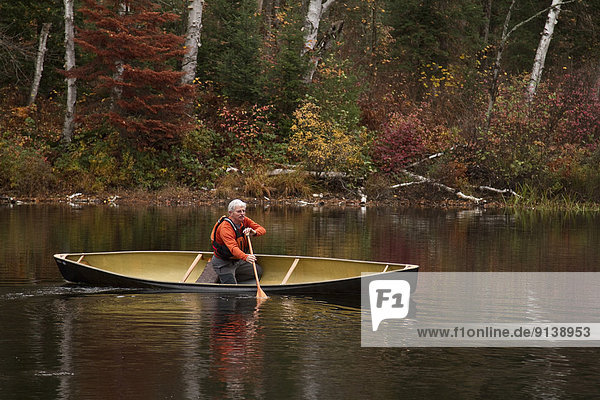 Mann  Ruhe  Tischset  Senior  Senioren  See  Kanu  paddeln  Kanada  Muskoka  Ontario