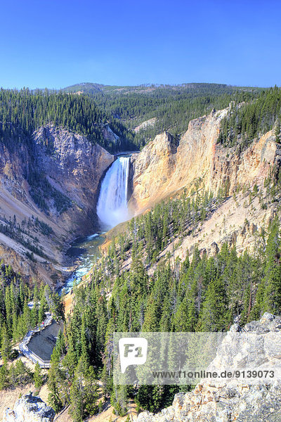 Vereinigte Staaten von Amerika  USA  Yellowstone Nationalpark  Lower Falls  Wyoming