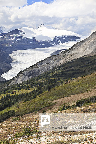 Saskatchewan Glacier in the Columbia Icefield  viewed from Parker Ridge  Banff National Park  Alberta  Canada