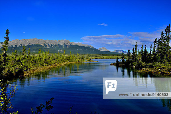A summer landscape image of Jasper Lake in Jasper National Park showing blue water mountains and a tree lined shore.