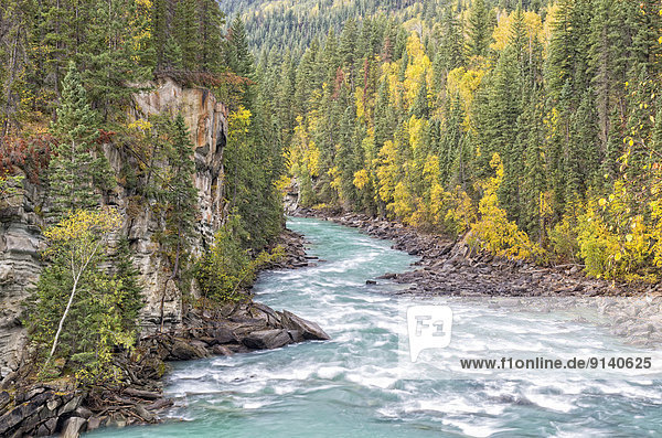 Fraser River in Rearguard Falls Provincial Park near Valemount and Tete Jaune Cache in British Columbia  Canada.