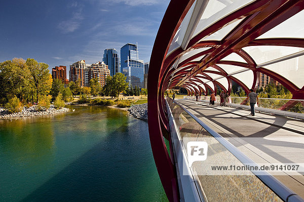 Calgary Peace Bridge and downtown highrise buildings  (Peace Bridge is a pedestrian bridge  designed by renowned Spanish architect Santiago Calatrava)  Calgary  Alberta  Canada.