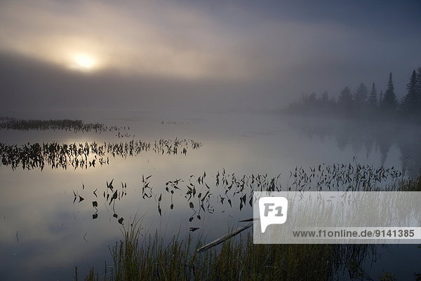 Sunrise on Lake of Two Rivers  Algonquin Park  Ontario