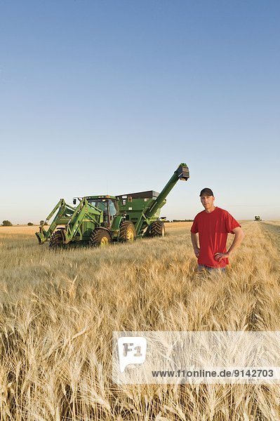 Young farmer in his mature durum wheat field during the harvest  grain wagon in the background  near Ponteix  Saskachewan  Canada