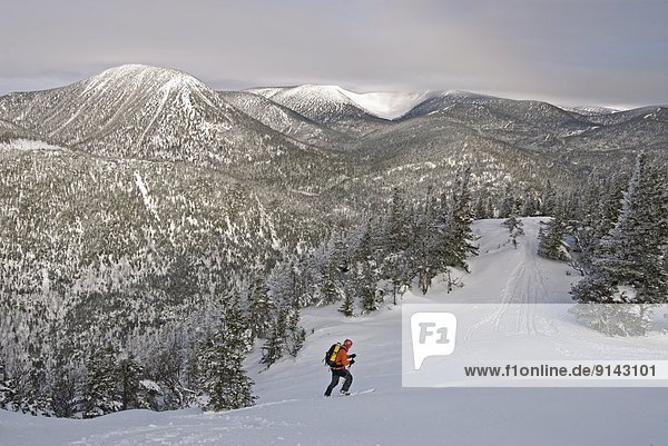 Skier in ChicChoc Mountains  Quebec  Canada