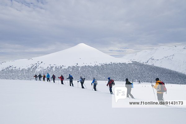 Line of skiers in alpine meadow  heading toward Copperstain Mountain  Purcell Mountains  British Columbia  Canada