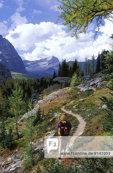 Woman hiking Opabin Plateau near Lake O'Hara  Yoho National Park  British Columbia  Canada