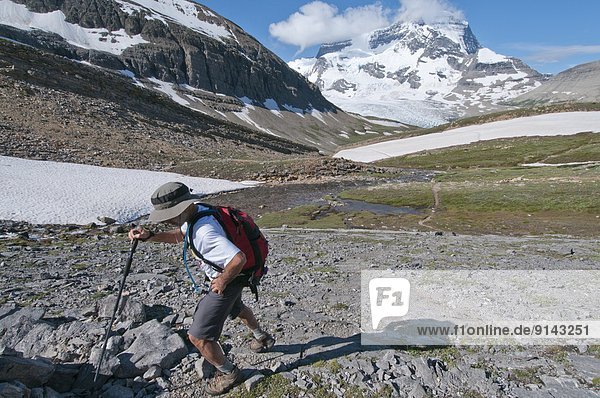 Hiker in Snowbird Pass meadow  Mount Robson Provincial Park  British Columbia  Canada