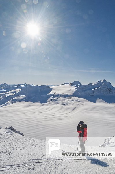 Skier overlooking Wapta Icefield  Banff National Park  Alberta  Canada