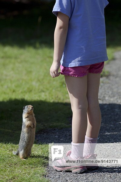 Young Girl and Columbian Ground Squirrel (Urocitellus columbianus)  Manning Provincial Park  British Columbia  Canada