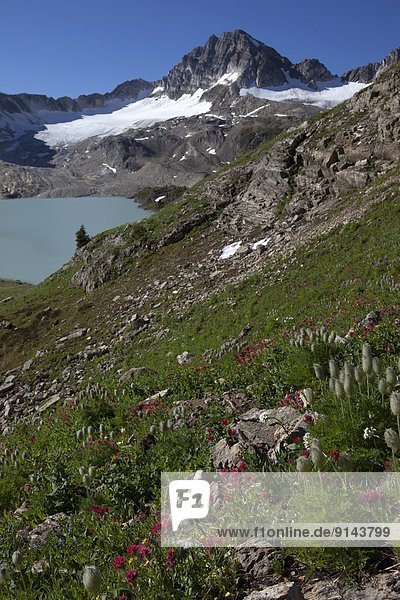 hoch  oben  Pinsel  über  See  Ländliches Motiv  ländliche Motive  Rocky Mountains  British Columbia  Kanada  Kalkstein  Russell