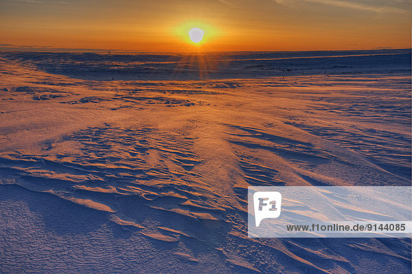 Winter  Sonnenaufgang  Saskatchewan  Kanada  kanadisch  Prärie