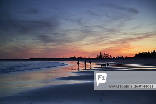 Dog Walkers at Sunset  Cherry Hill Beach  near Mill Village  Nova Scotia  Canada