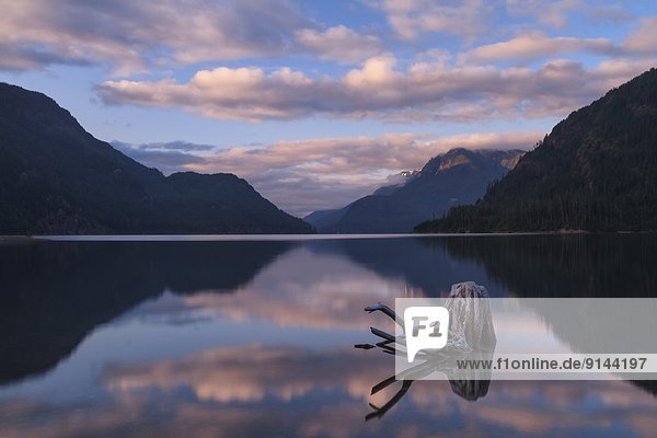Strathcona Provincial Park British Columbia Kanada Vancouver Island