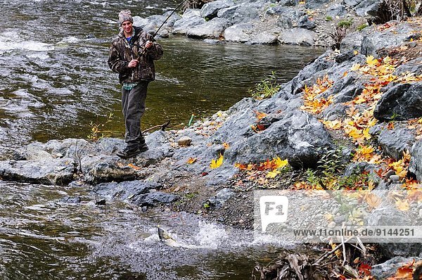 A young man lands a chum salmon while fishing on Little Qualicum River near Qualicum  BC.  Canada